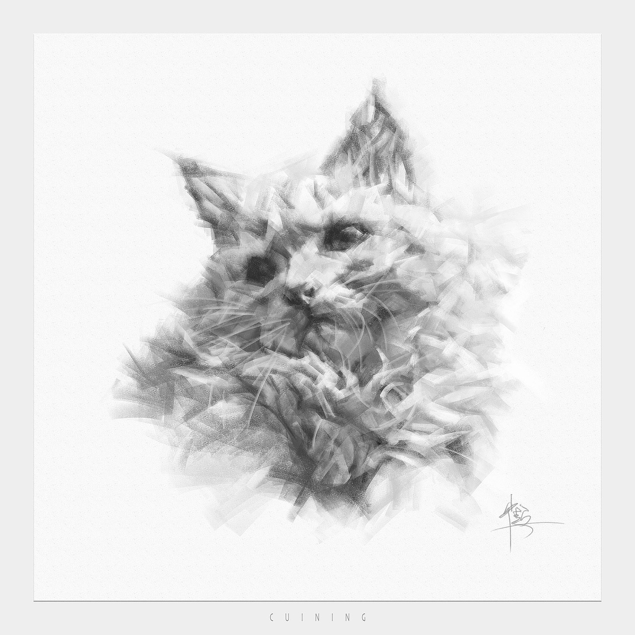 猫素描（图ZMzc2MTUxOTg4） - 绘画 - 站酷设计师cuin62原创素材 - 站酷ZCOOL