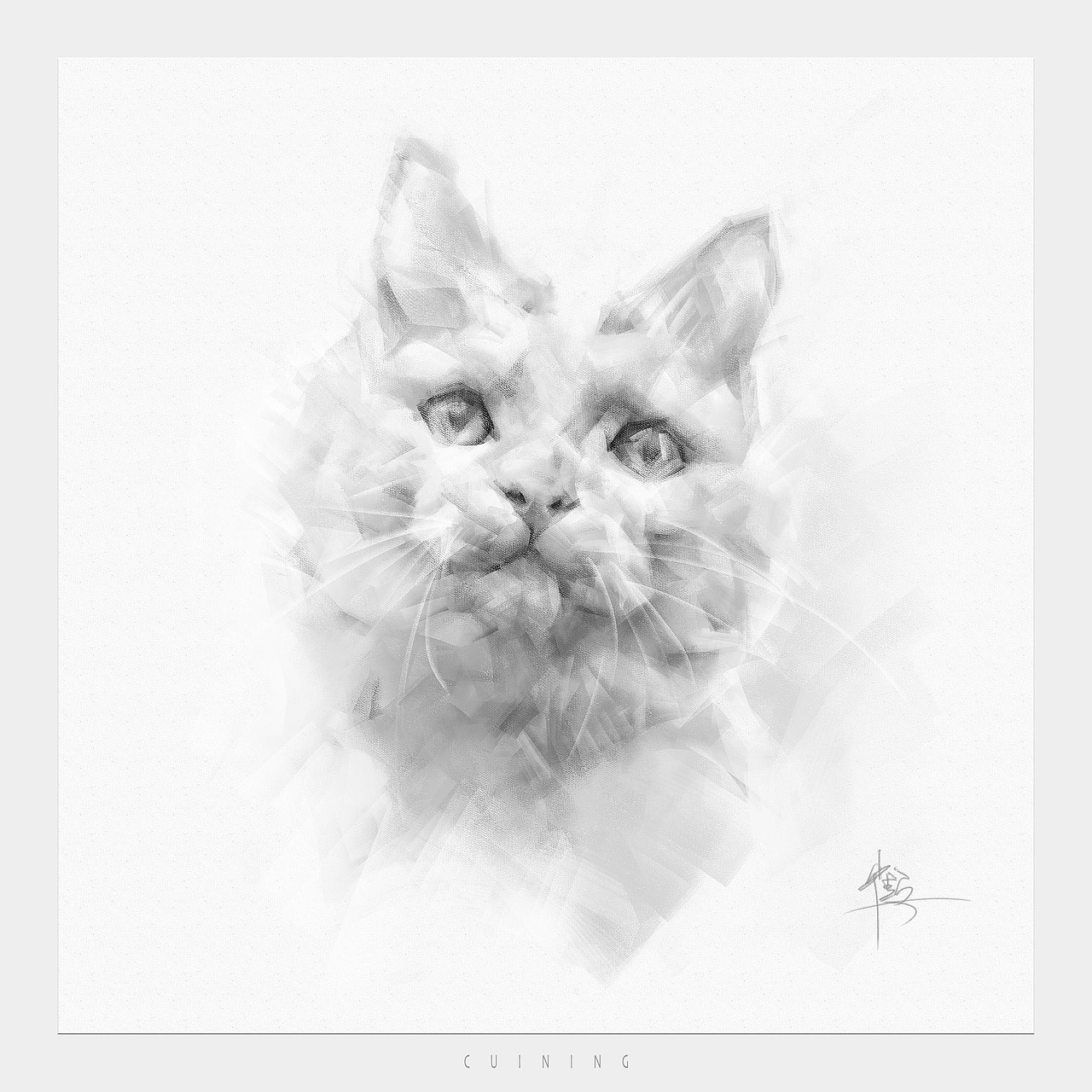 猫素描（图ZMzc2MTUxOTk2） - 绘画 - 站酷设计师cuin62原创素材 - 站酷ZCOOL