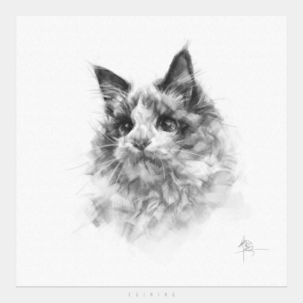 猫素描（图ZMzc2MTUxOTky） - 绘画 - 站酷设计师cuin62原创素材 - 站酷ZCOOL