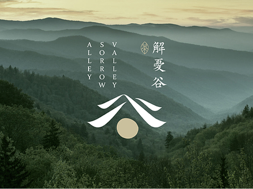 茶叶品牌设计-VI设计-LOGO设计-解忧谷