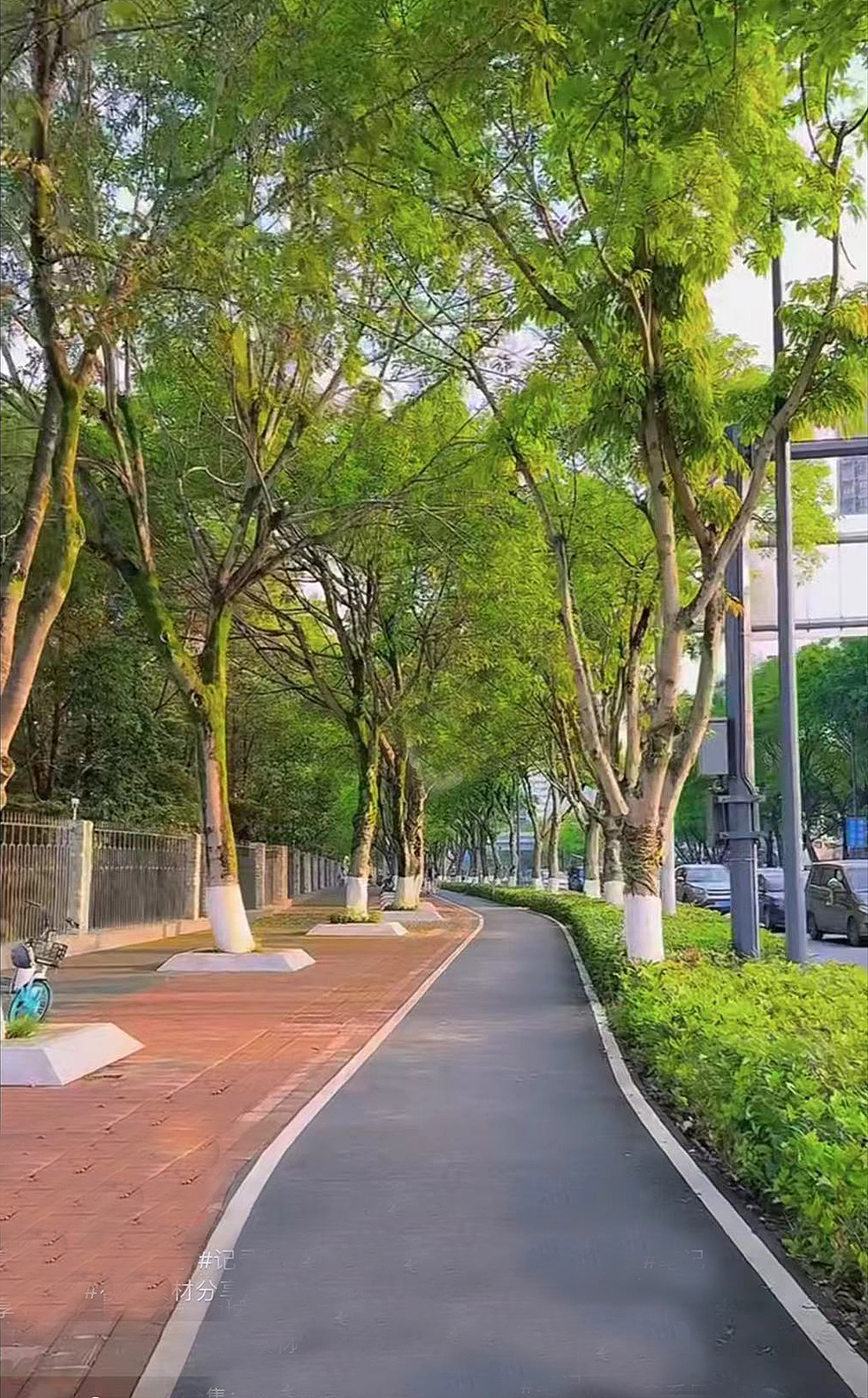 街景速写,手绘稿。