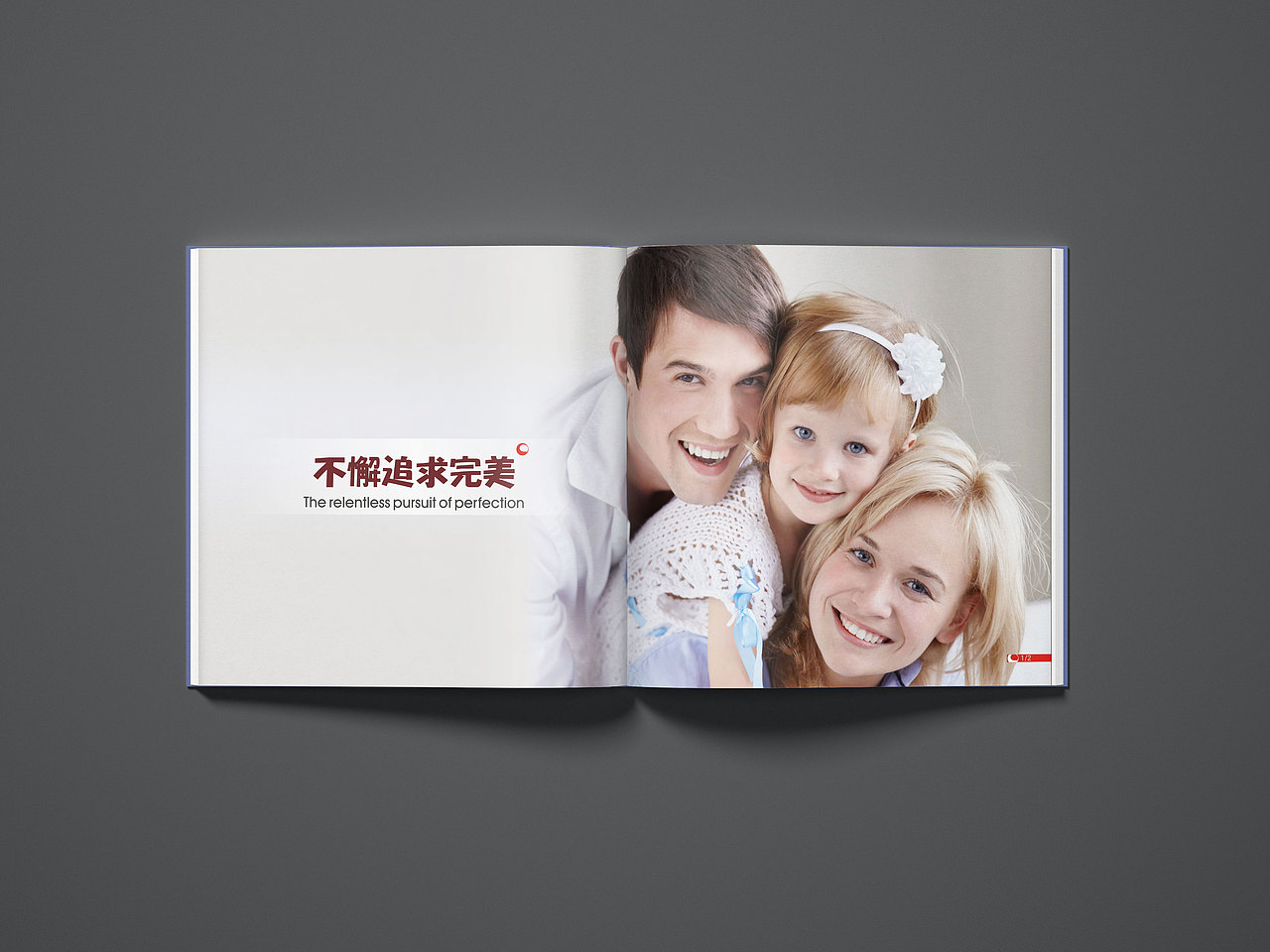 深圳橱柜画册设计，深圳画册设计公司，企业画册设计（图ZMzc2MTgzMzY0） - 书籍/画册 - 站酷设计师未来视野品牌设计原创素材 - 站酷ZCOOL