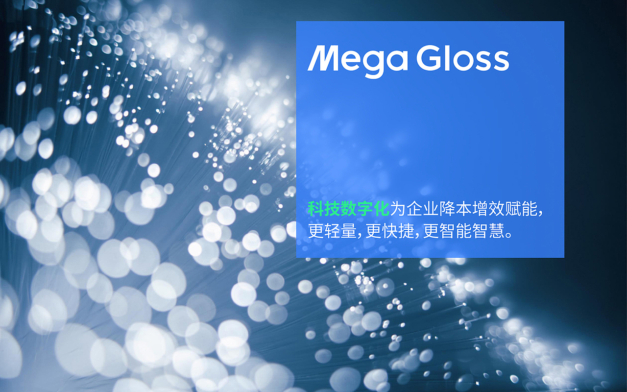 logo LOGO 科技Logo设计 数字经济LOGO设计 vi vi设计