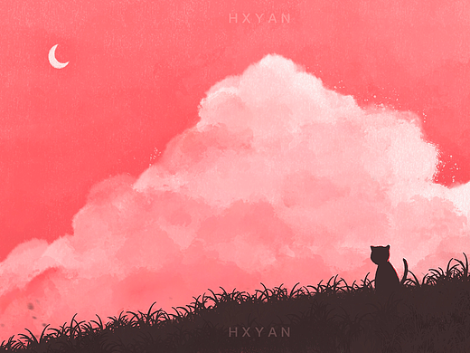 关于我家猫仔的一些日常记录