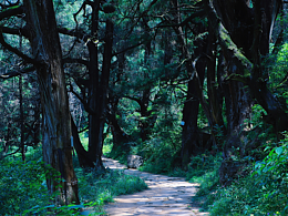 《邂逅千年古城,揭秘神秘拦马墙》