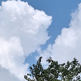 场景师Malcolm的头像