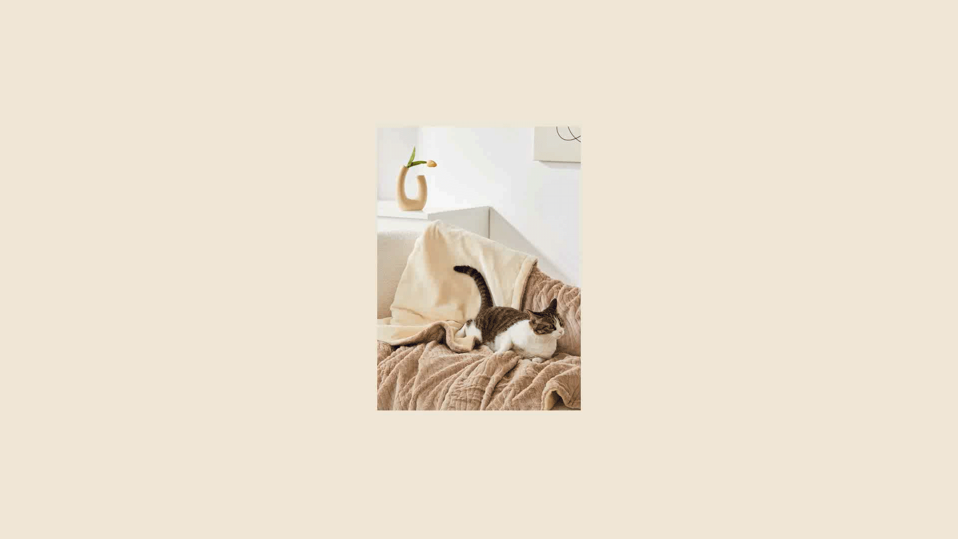 VISUAL DESIGN丨电商品牌视觉 X2(图ZMzc2MjQyMTU2) - 其他网页 - 站酷设计师孙啊尧原创素材 - 站酷ZCOOL