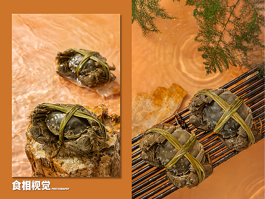 大闸蟹拍摄｜美食摄影 生鲜美食电商产品X食相视觉