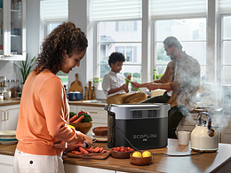 正浩 EcoFlow移动电源 