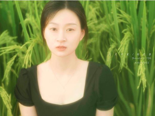 旅途稻花香