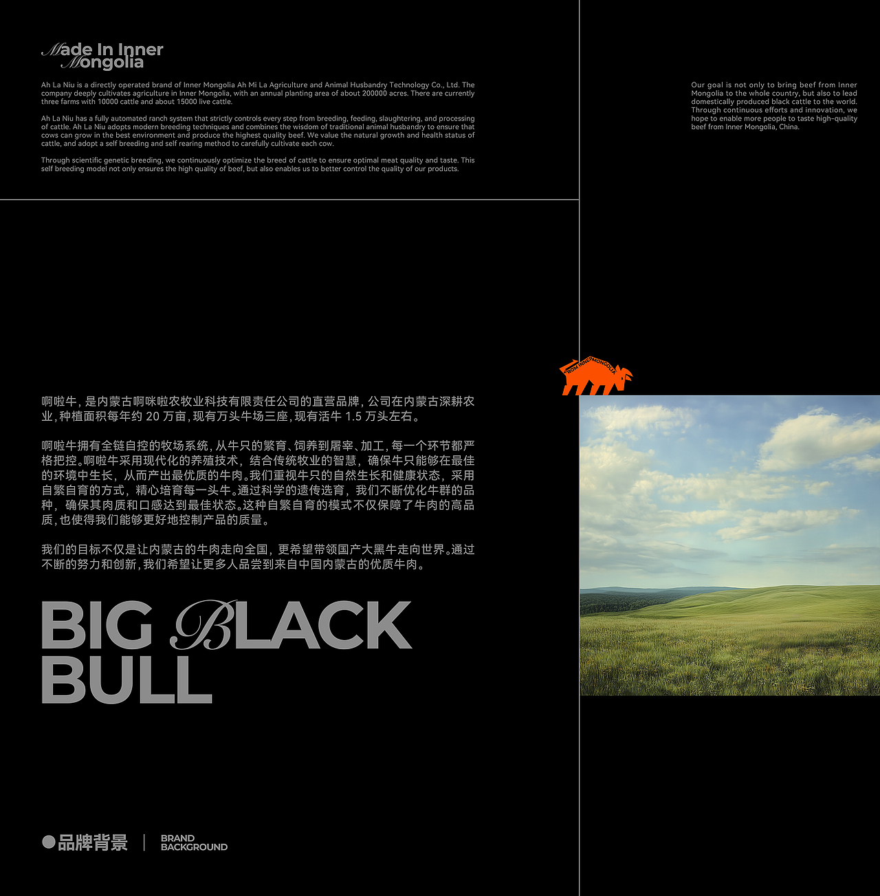 啊啦牛牛肉品牌全案设计｜大黑牛·内蒙造（图ZMzc2Mjk5MzQw） - 品牌 - 站酷设计师吴风起浪Design原创素材 - 站酷ZCOOL