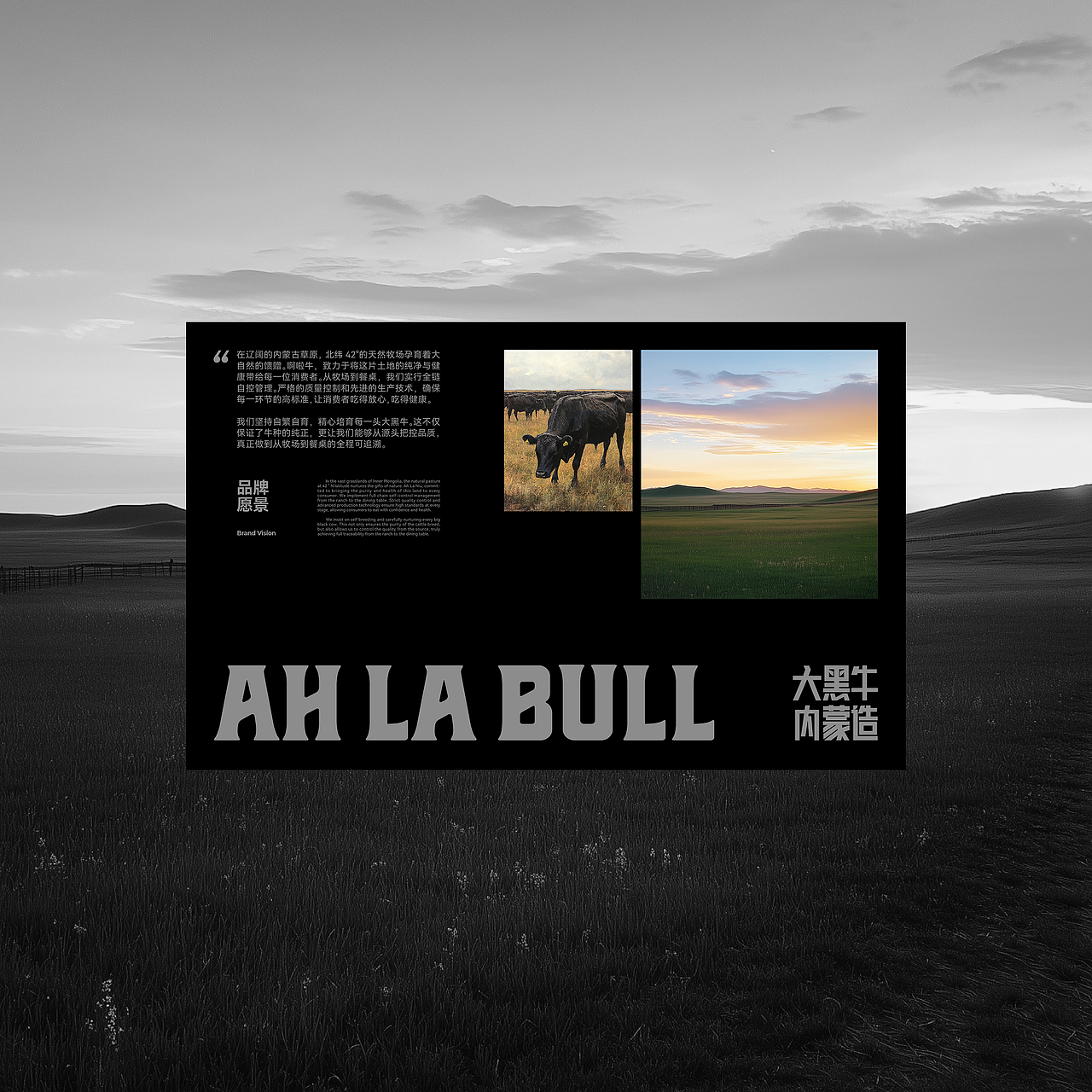 啊啦牛牛肉品牌全案设计|大黑牛·内蒙造