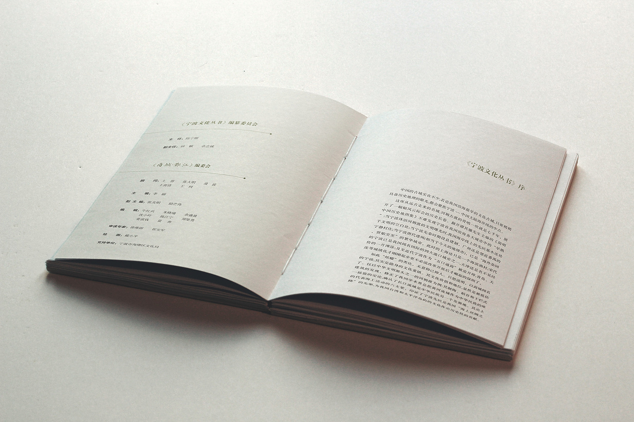 政府书籍画册装帧设计