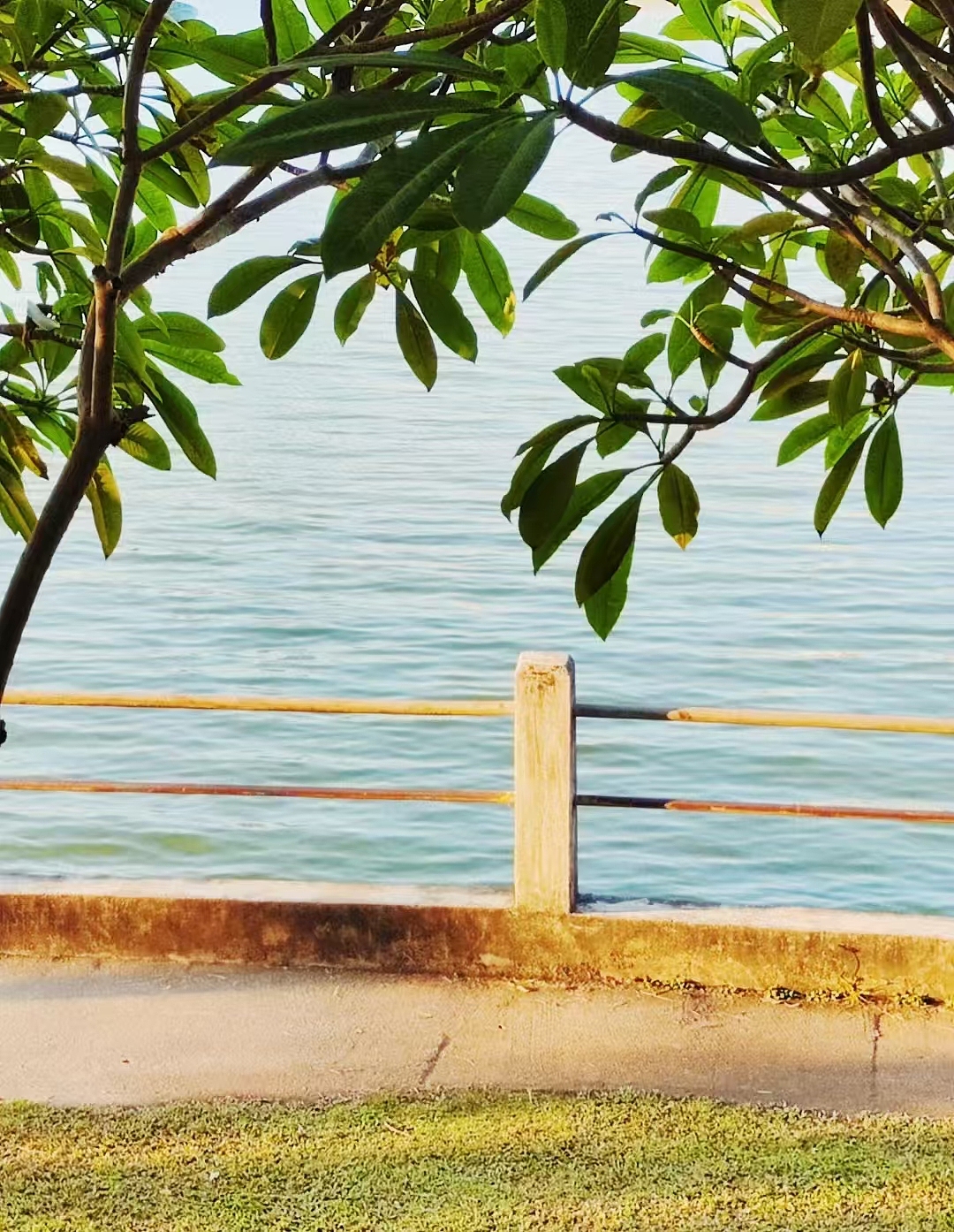 东江沙公园（图ZMzc2MzM1OTUy） - 风光摄影 - 站酷设计师Z16120474原创素材 - 站酷ZCOOL