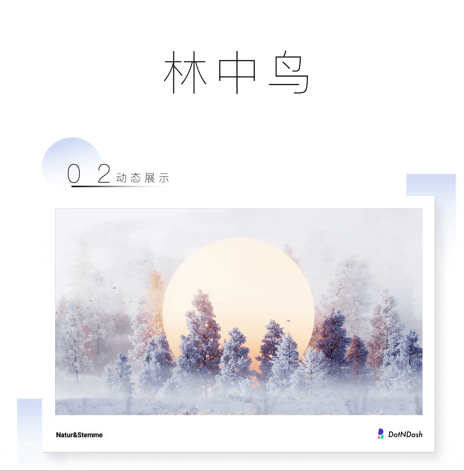 自然之声 | 尽探索之力 享自然之声