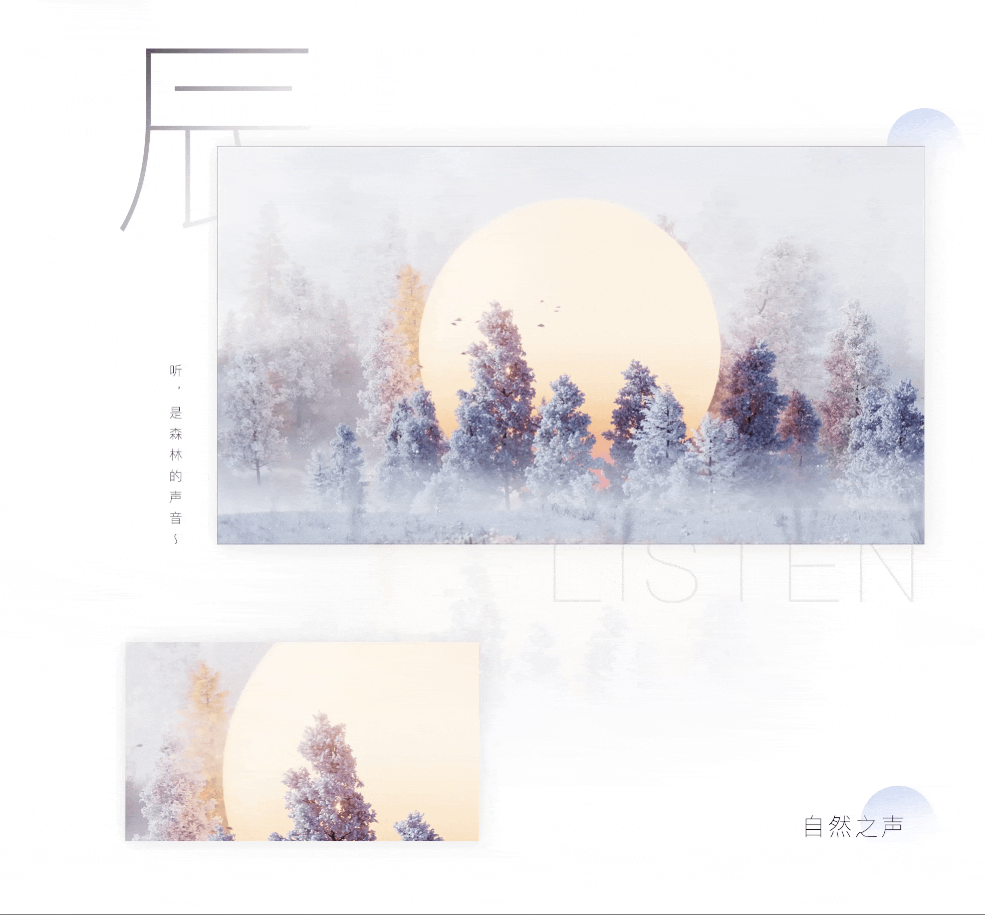 自然之声 | 尽探索之力 享自然之声