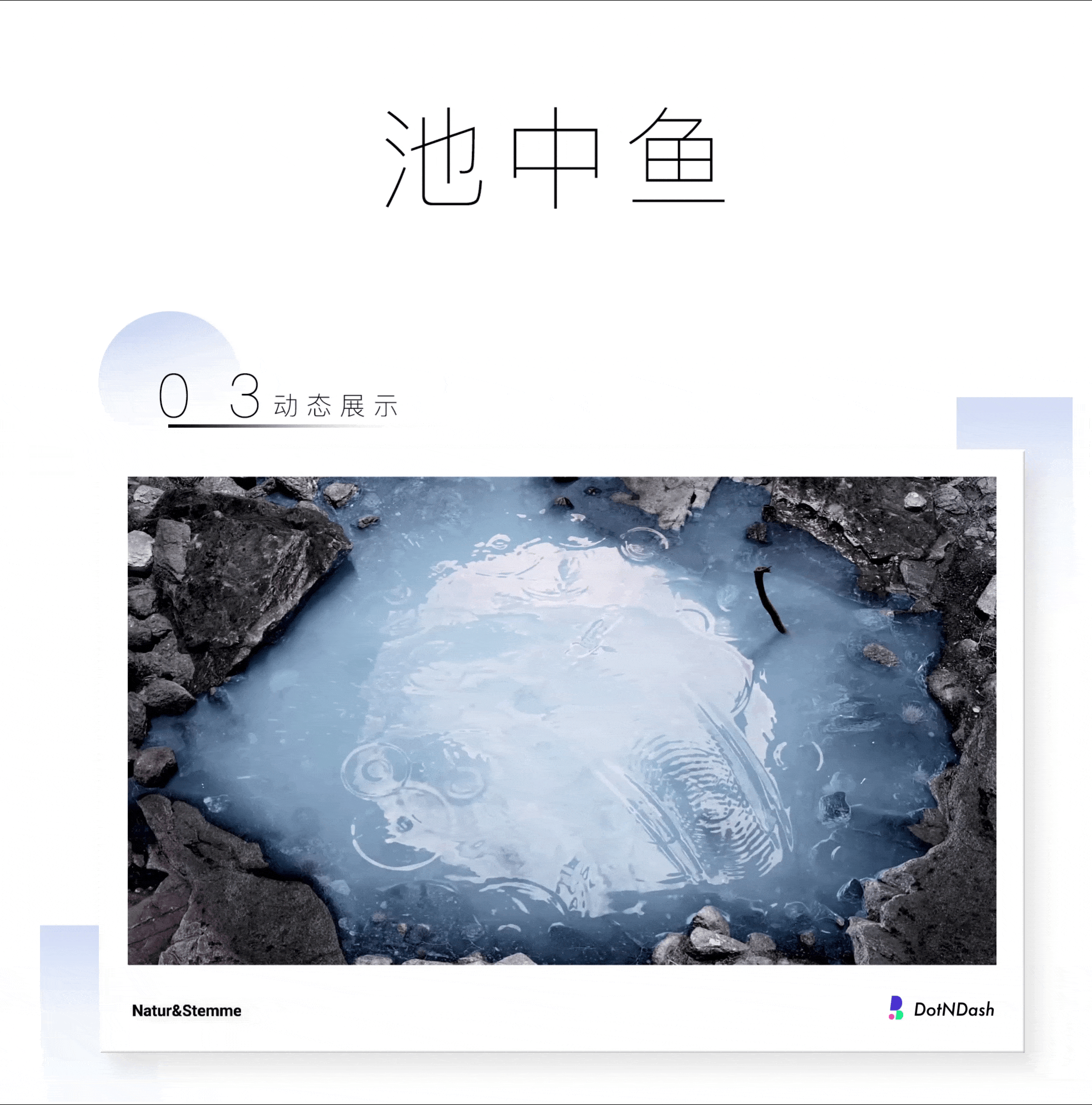 自然之声 | 尽探索之力 享自然之声