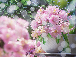 [C4D/OCTANE]最近练习的一些场景图