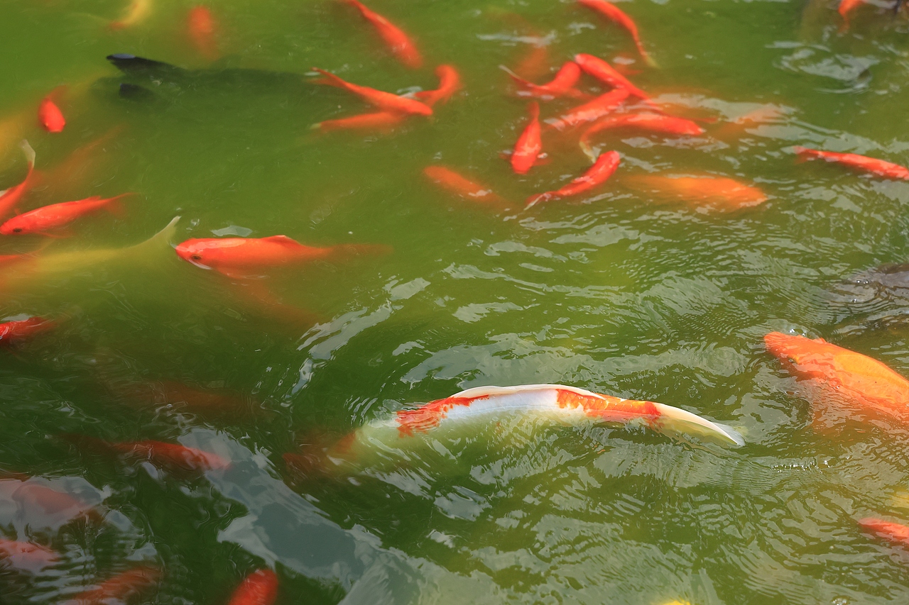 30岁的世界（图ZMzc2Mzc5MTY4） - 风光摄影 - 站酷设计师夏天的柠檬水原创素材 - 站酷ZCOOL