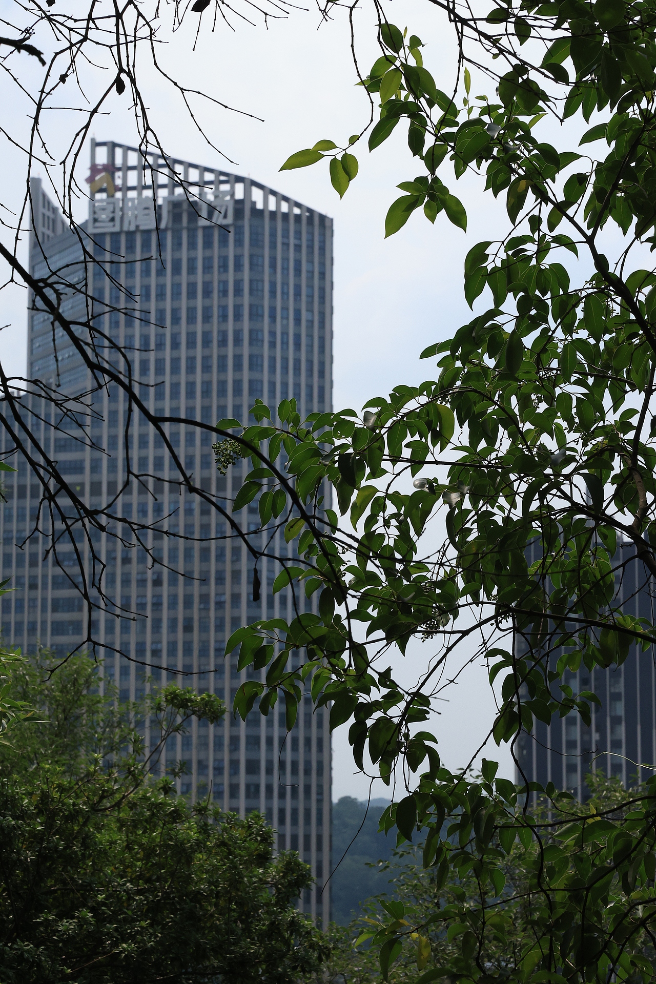 30岁的世界（图ZMzc2Mzc5MTg4） - 风光摄影 - 站酷设计师夏天的柠檬水原创素材 - 站酷ZCOOL