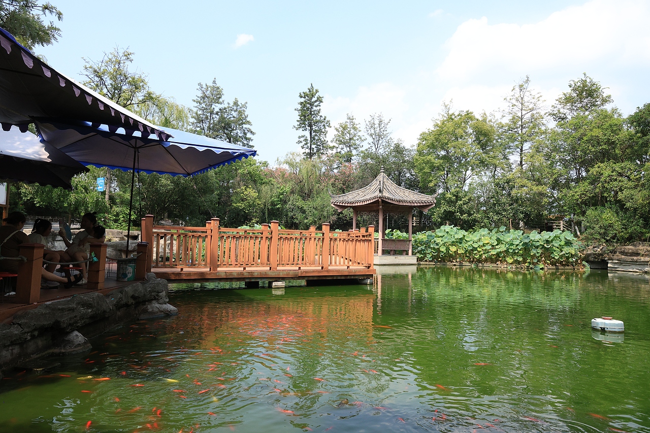 30岁的世界（图ZMzc2Mzc5MTYw） - 风光摄影 - 站酷设计师夏天的柠檬水原创素材 - 站酷ZCOOL