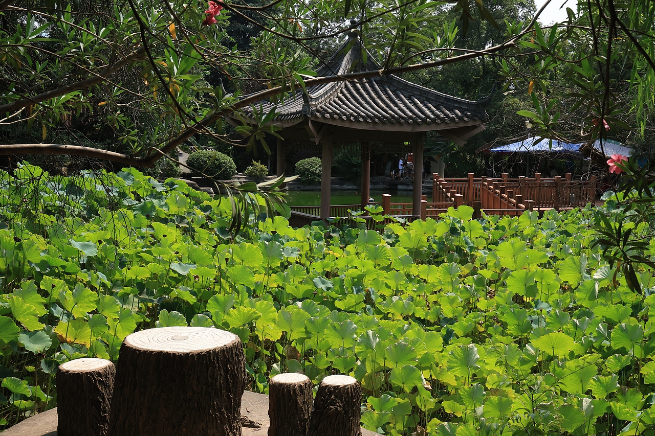 30岁的世界（图ZMzc2Mzc5MTUy） - 风光摄影 - 站酷设计师夏天的柠檬水原创素材 - 站酷ZCOOL