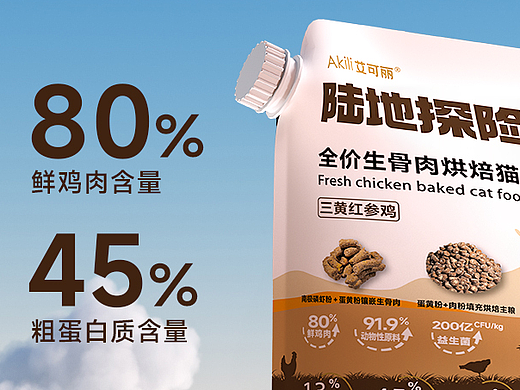 2024-宠物食品-详情设计