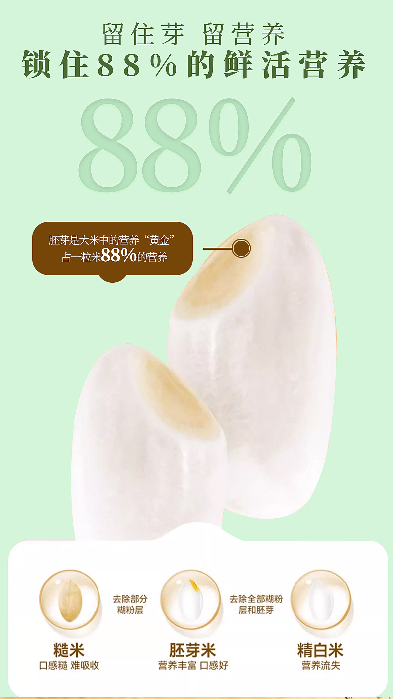 2024年8月下旬丨食品电商详情&主图（图ZMzc2NDA4ODY4） - 电商 - 站酷设计师沙僧SEA原创素材 - 站酷ZCOOL