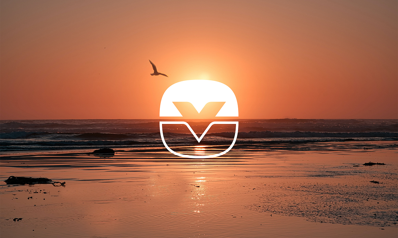 小成功咖啡MiniV coffee#视觉品牌规范#海报设计#包装