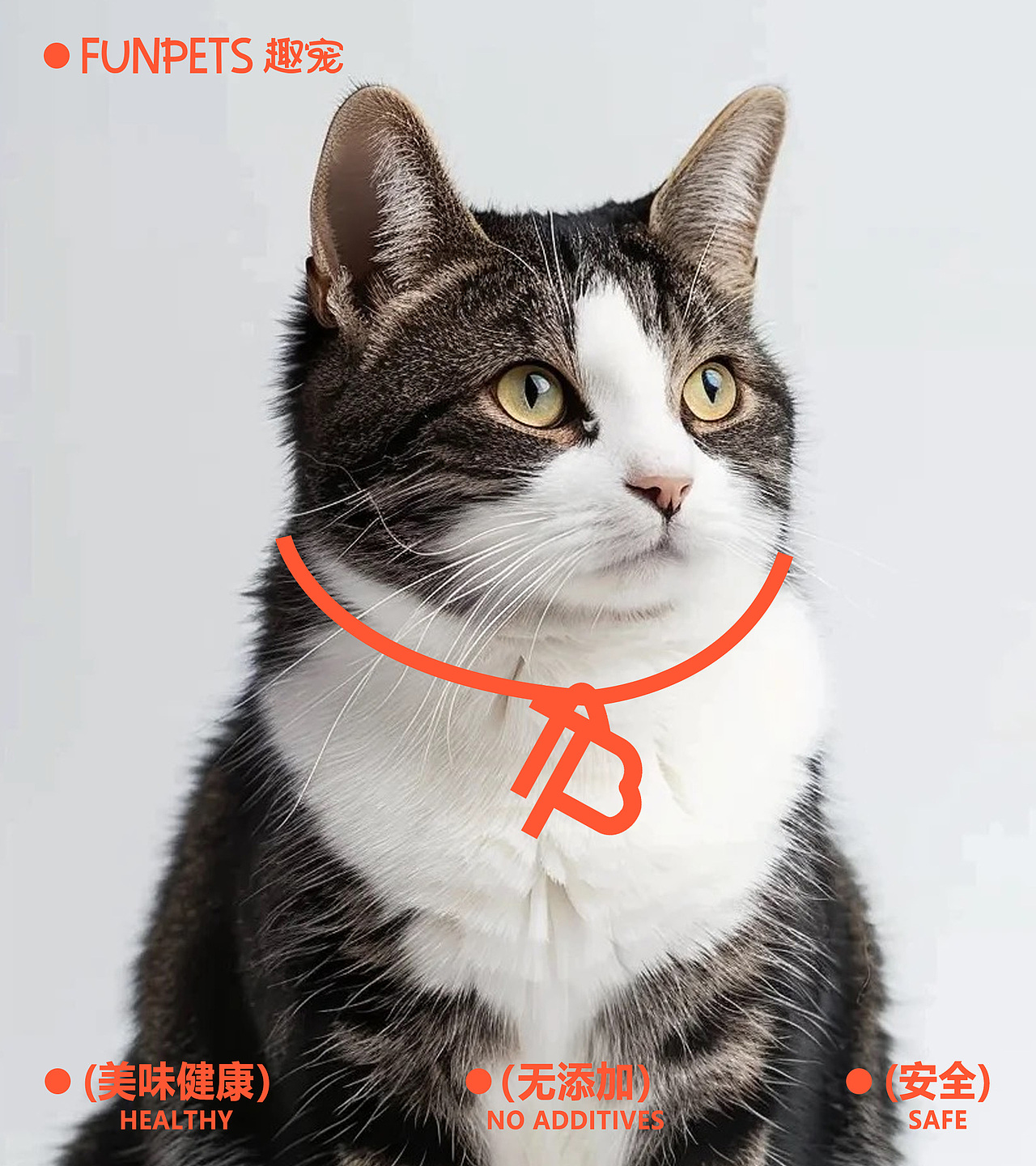 FUNPETS 趣宠 品牌设计练习（图ZMzc2NDE5Mjky） - 品牌 - 站酷设计师不加可乐原创素材 - 站酷ZCOOL