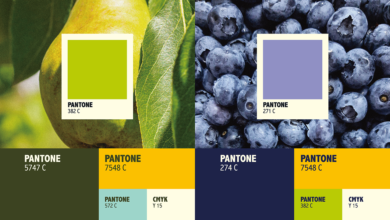 【守护本心】大玛仕烘焙粮系列-包装设计