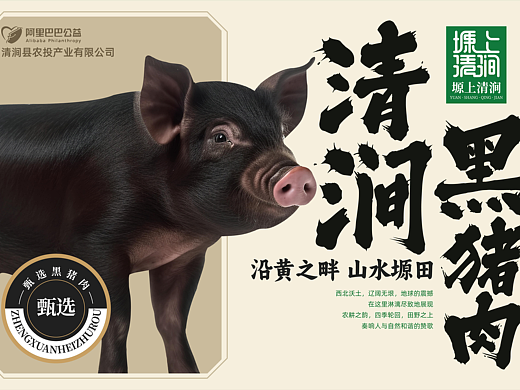 塬上清涧黑猪肉包装设计