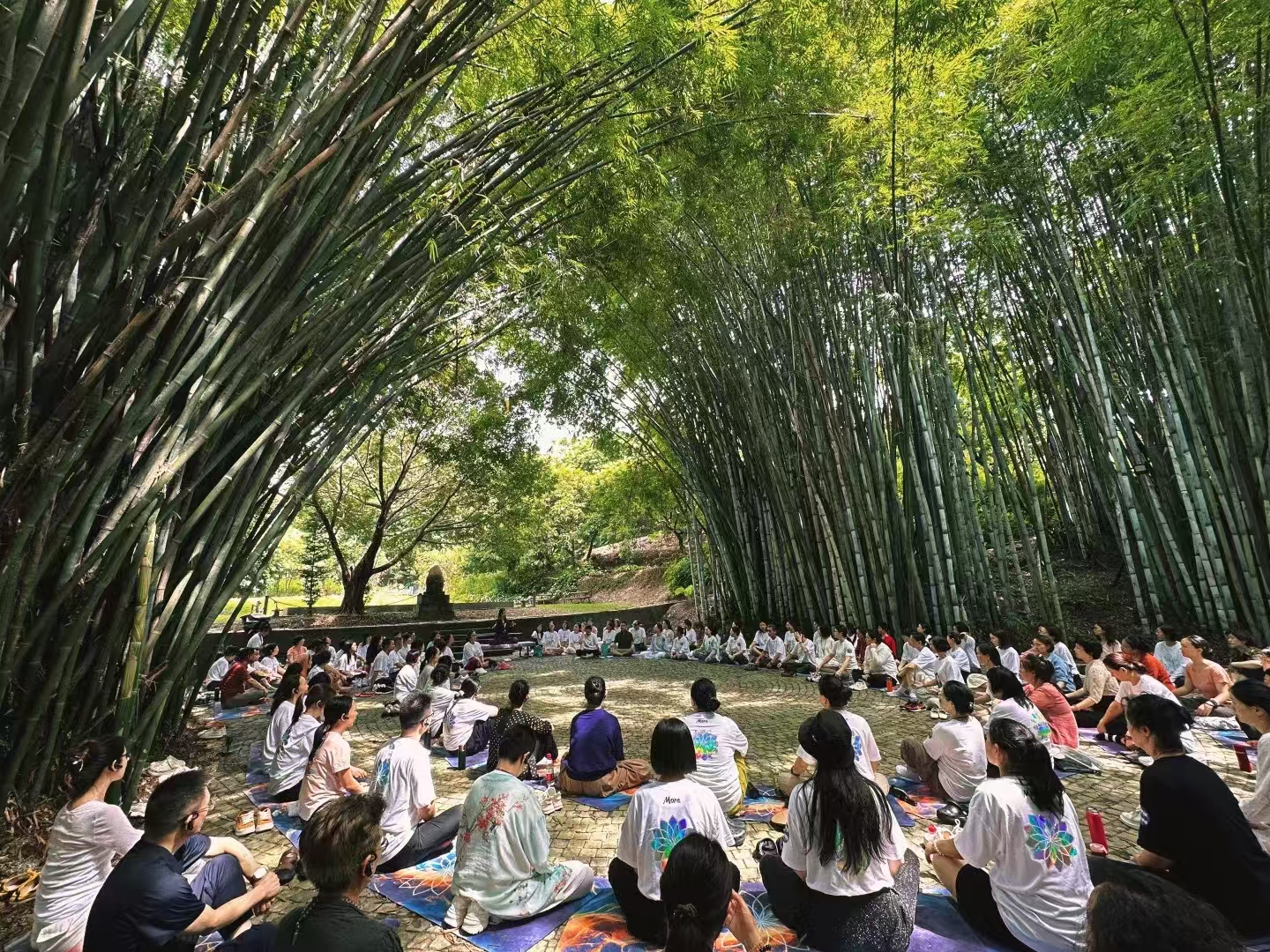 关于禅修，关于疗愈，以及泰康医养，无线讲解器有自己的存在感