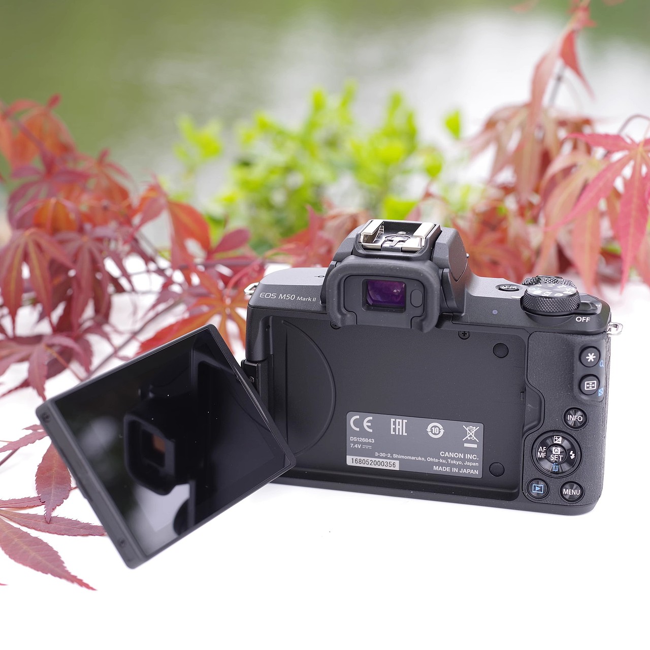 新手快收藏!入门微单相机怎么选?2024年建议买这些!