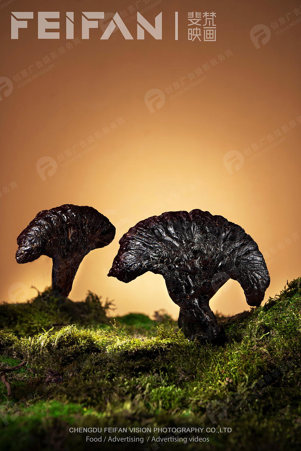 养生酒创意摄影#劲牌#养生一号（图ZMzc2NDUwMTY0） - 产品摄影 - 站酷设计师斐梵映画原创素材 - 站酷ZCOOL