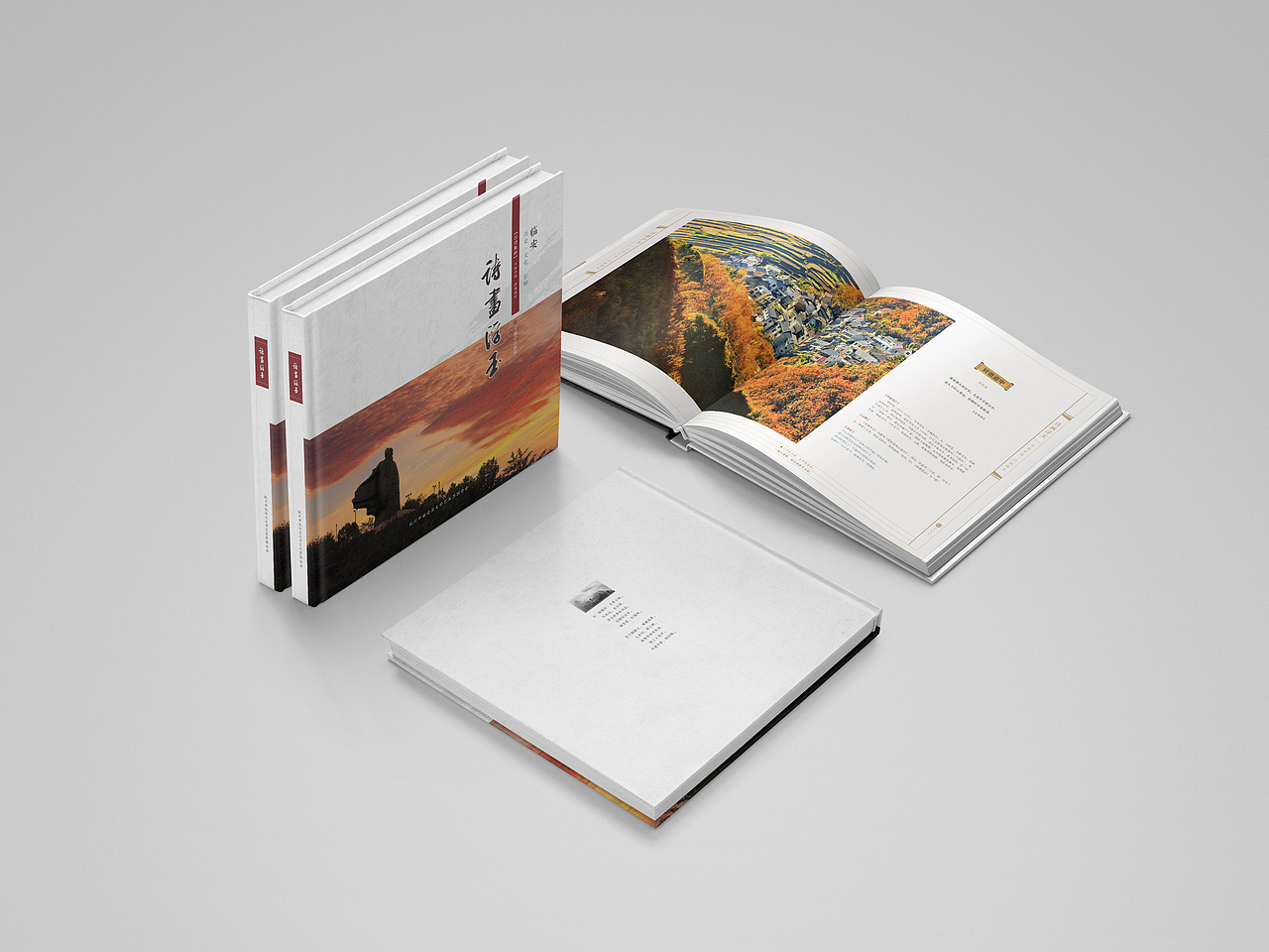 政府书籍画册装帧设计3