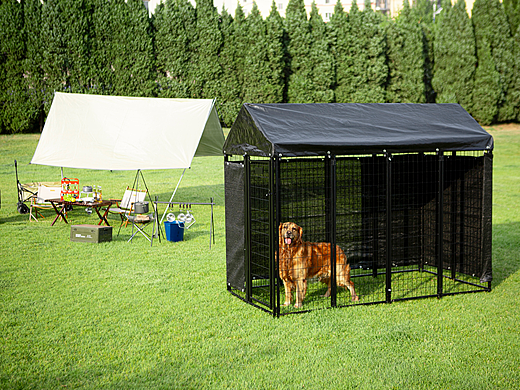 宠物笼子视频拍摄｜宠物产品拍摄丨宠物用品摄影