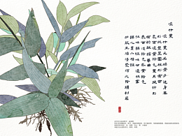 书籍设计