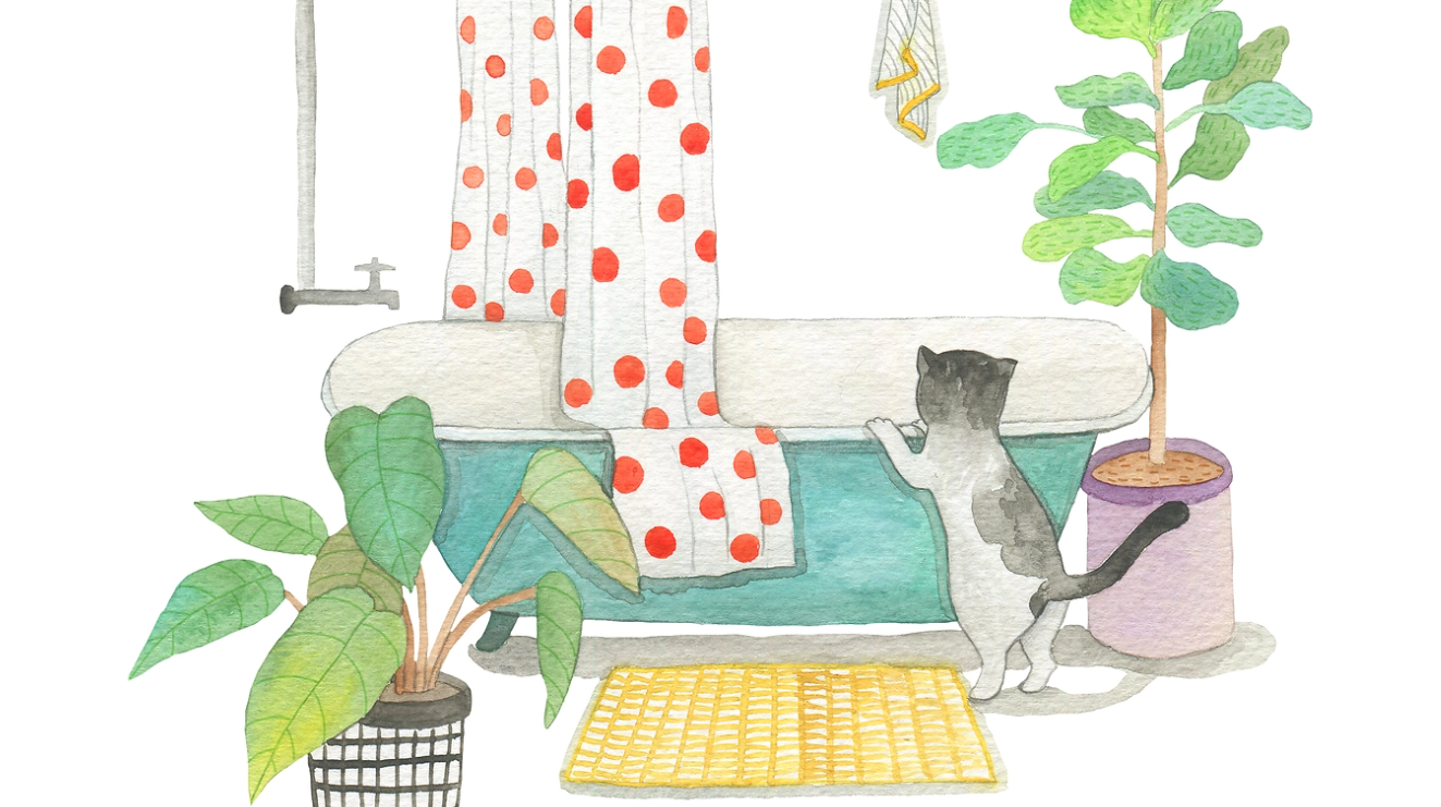 徐小綣的個(gè)人主頁(yè)（封面預(yù)覽） - 主頁(yè)封面設(shè)置 - 站酷設(shè)計(jì)師徐小綣原創(chuàng)素材 - 站酷ZCOOL