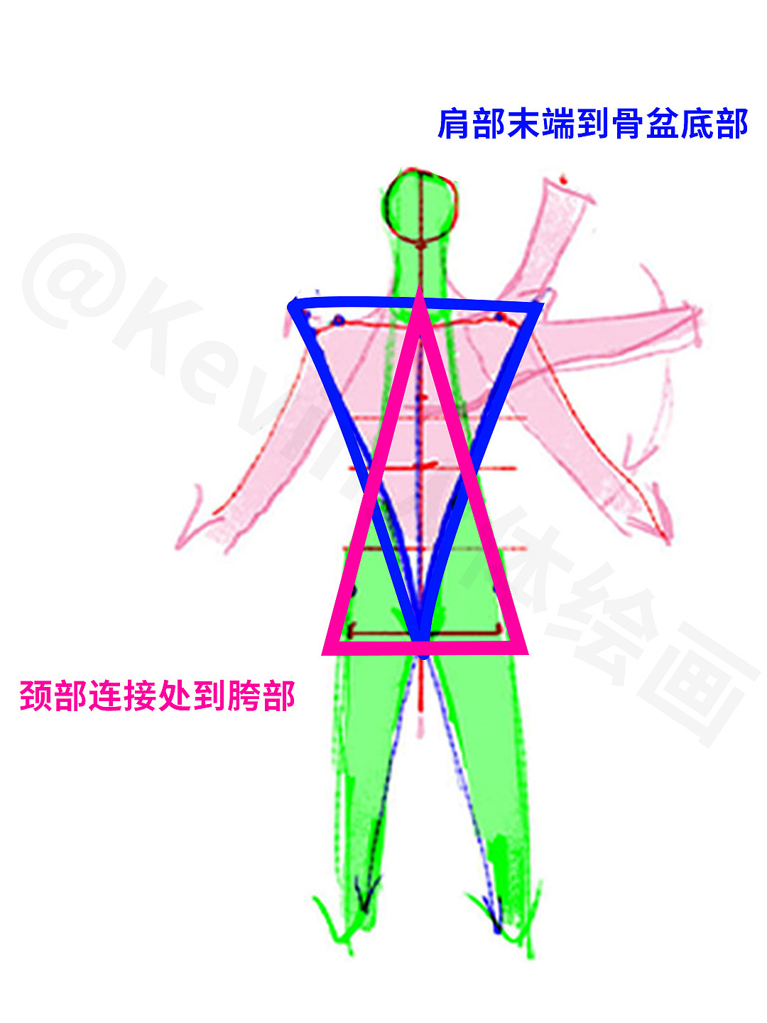 每天掌握一个人体绘画小技巧 06期（图ZMzc2NTA3NTIw） - 概念设定 - 站酷设计师Kevin人体绘画原创素材 - 站酷ZCOOL