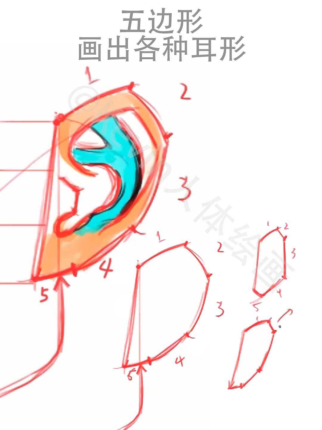 每天掌握一个人体绘画小技巧 08期（图ZMzc2NTA4MDg4） - 创作习作 - 站酷设计师Kevin人体绘画原创素材 - 站酷ZCOOL