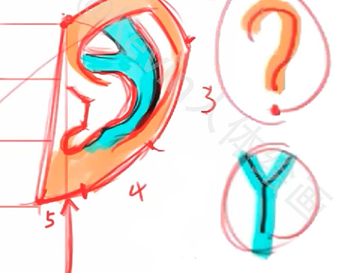 每天掌握一个人体绘画小技巧 08期