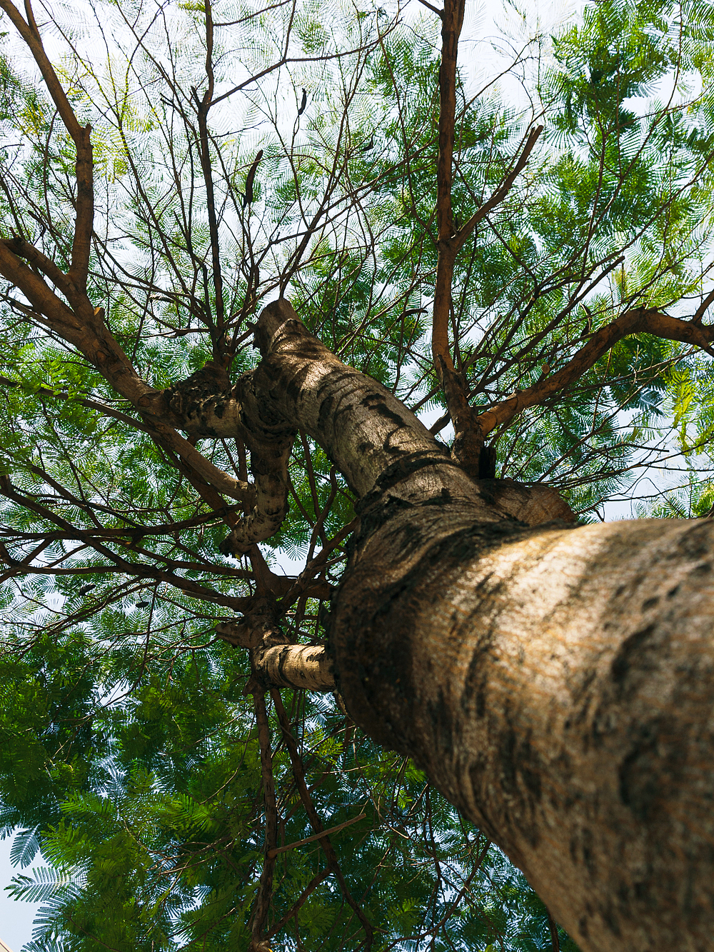 汕头→南奥岛,游记