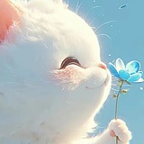 元子默的头像