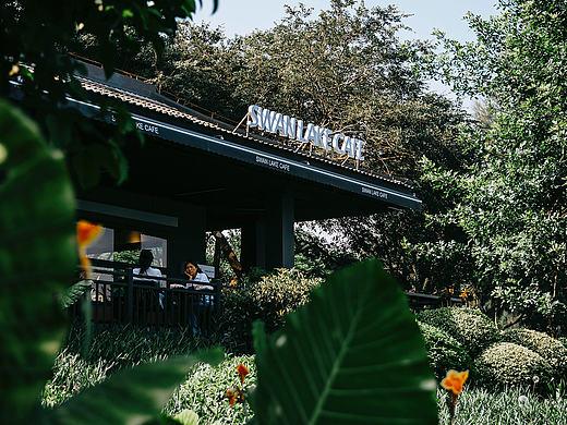 酒店餐饮 | SWAN LAKE CAFE | 厦门