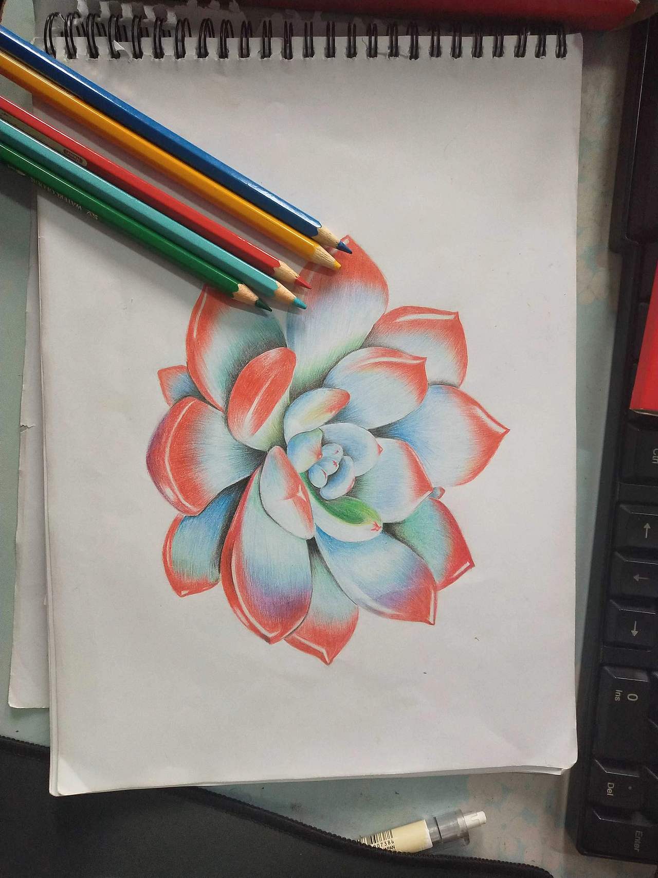 个人手绘作品