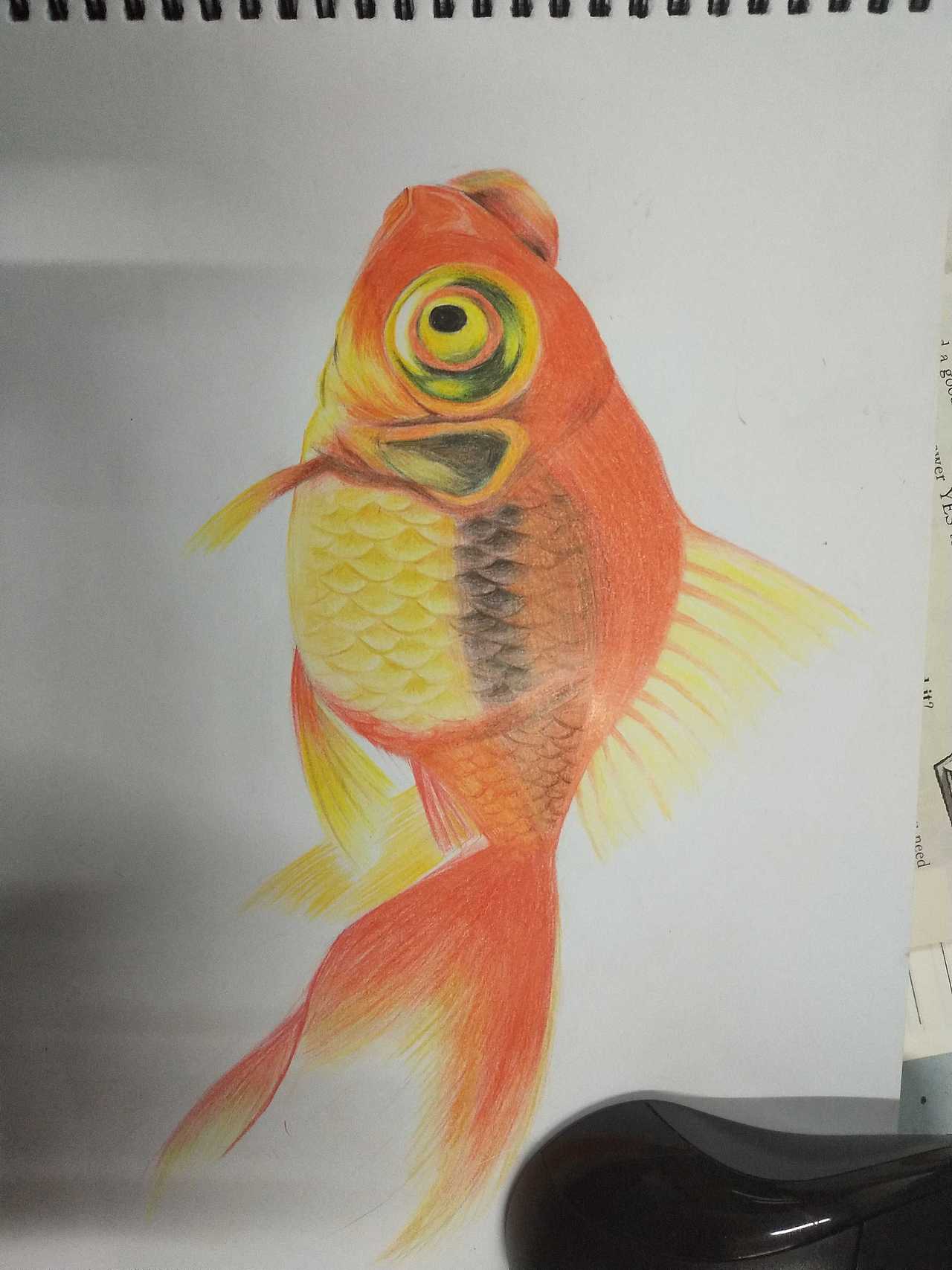 个人手绘作品