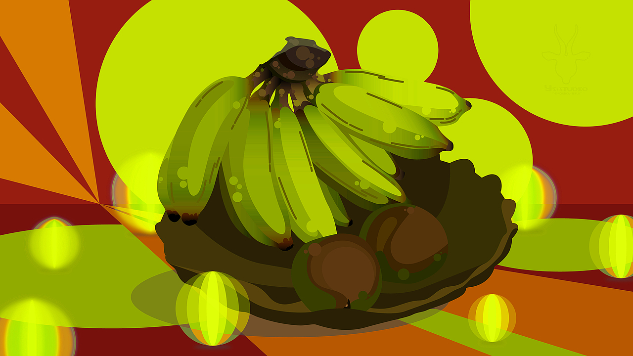 一盆水果静物带来的灵感