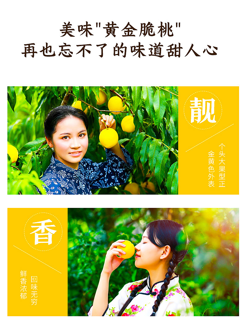 2024年8月下旬丨食品电商详情&主图