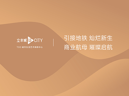 购物中心项目推荐书